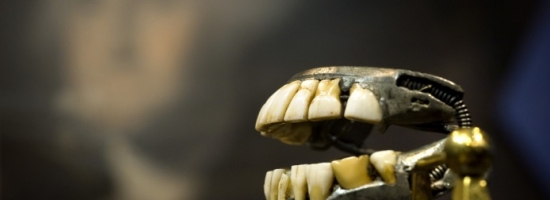 A fogászat fejlődésének története II. rész